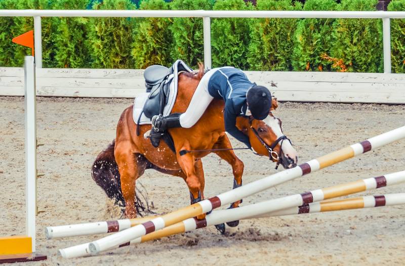 avocat Toulon chute de cheval cavalier blessé