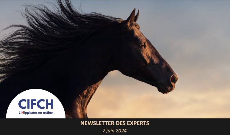 avocat droit équestre  vente cheval toulon Var