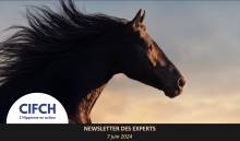 Notre zone d'activité pour ce service Avocat pour ventes aux enchères à